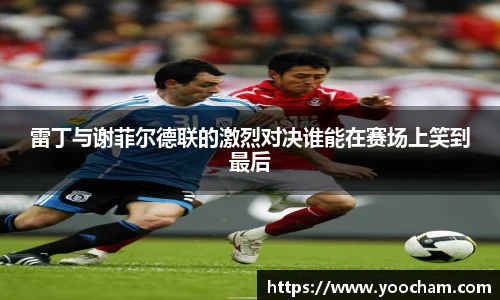 雷丁与谢菲尔德联的激烈对决谁能在赛场上笑到最后
