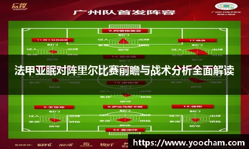 法甲亚眠对阵里尔比赛前瞻与战术分析全面解读
