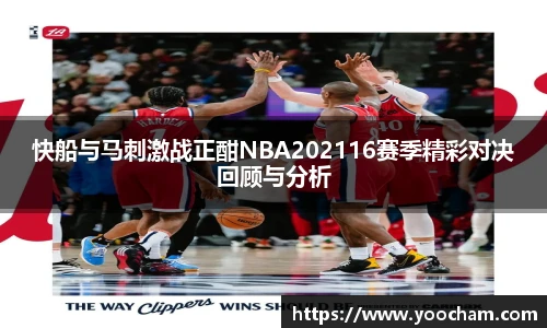 金年会