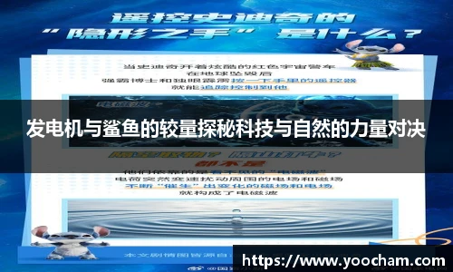 jinnianhui金年会